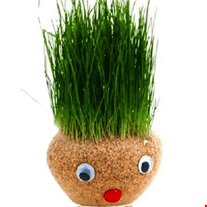 سبزه شکلی