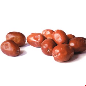 سنجد