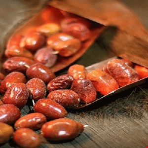 سنجد 2