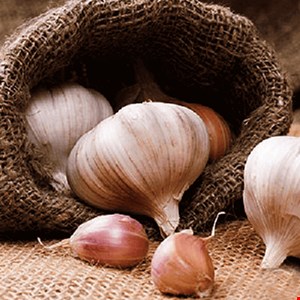 سیر2