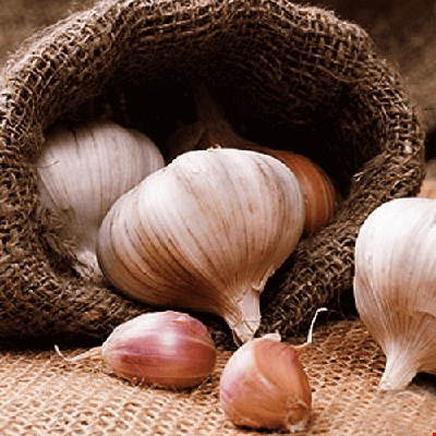 سیر2