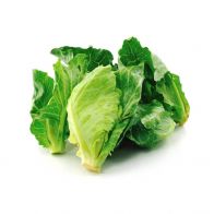 Samsung Galaxy Star Plus S7262 Dual SIM